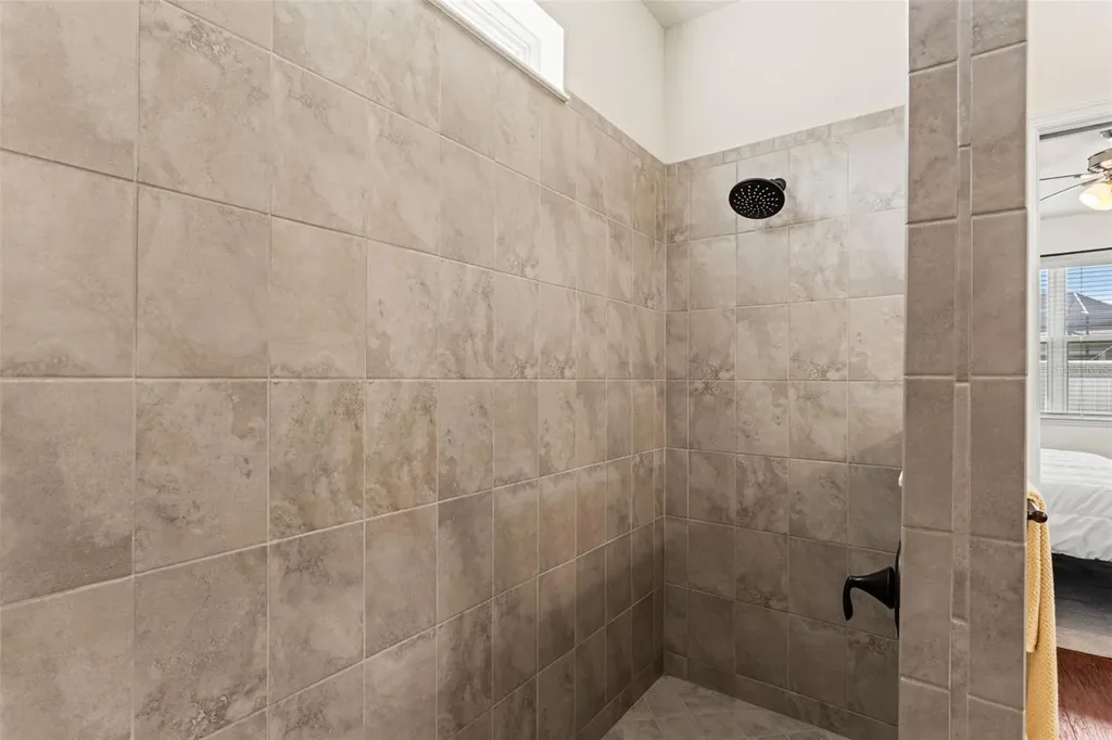 8296 Olive Brook Drive Wesley Chapel FL 33545