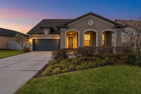 8296 Olive Brook Drive Wesley Chapel FL 33545