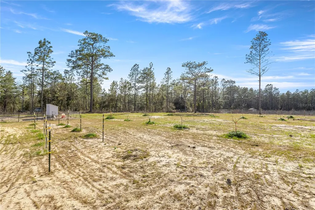 14440 SE 21st Place Morriston FL 32668