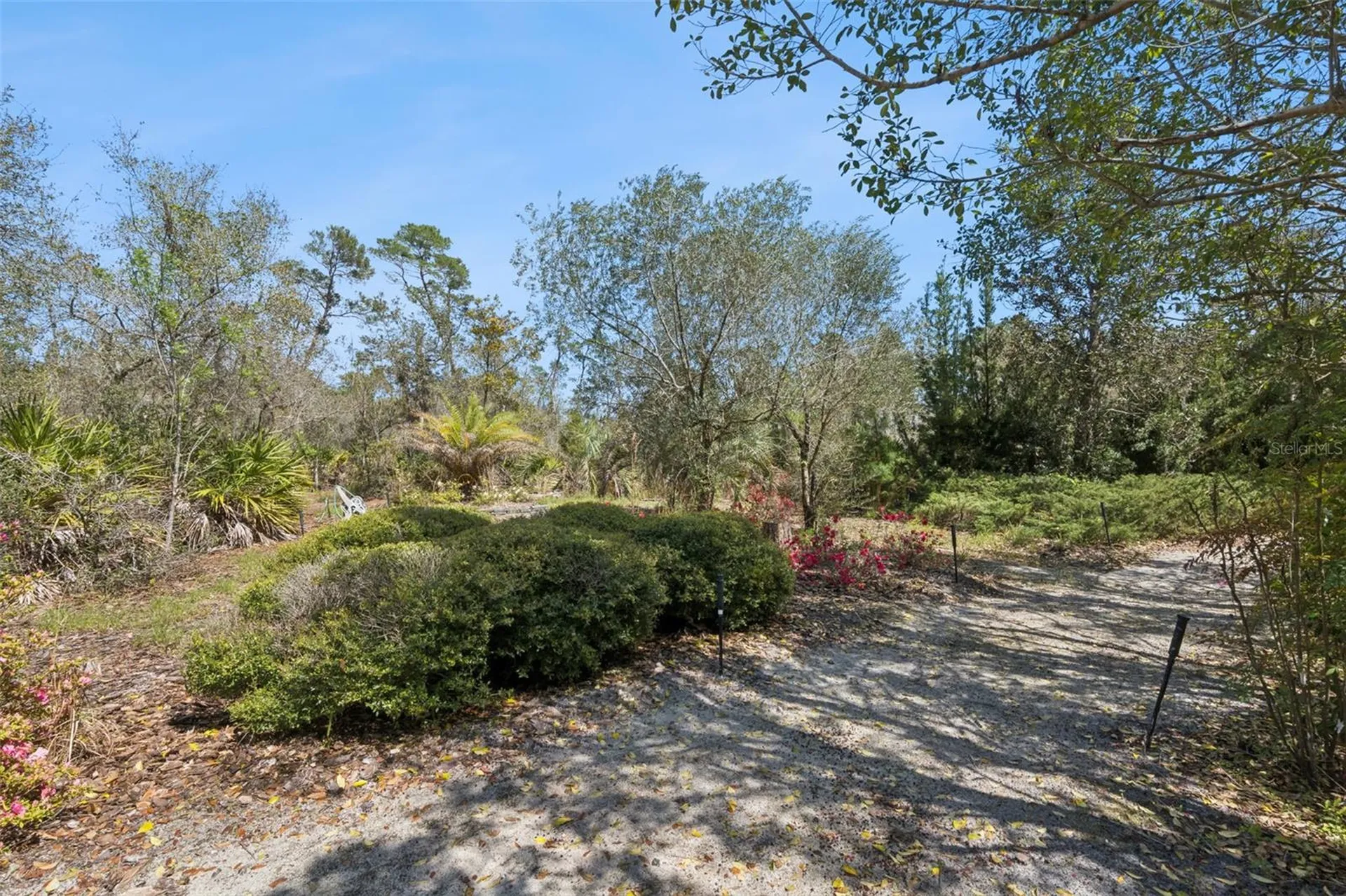 37008 Forestdel Drive Eustis FL 32736