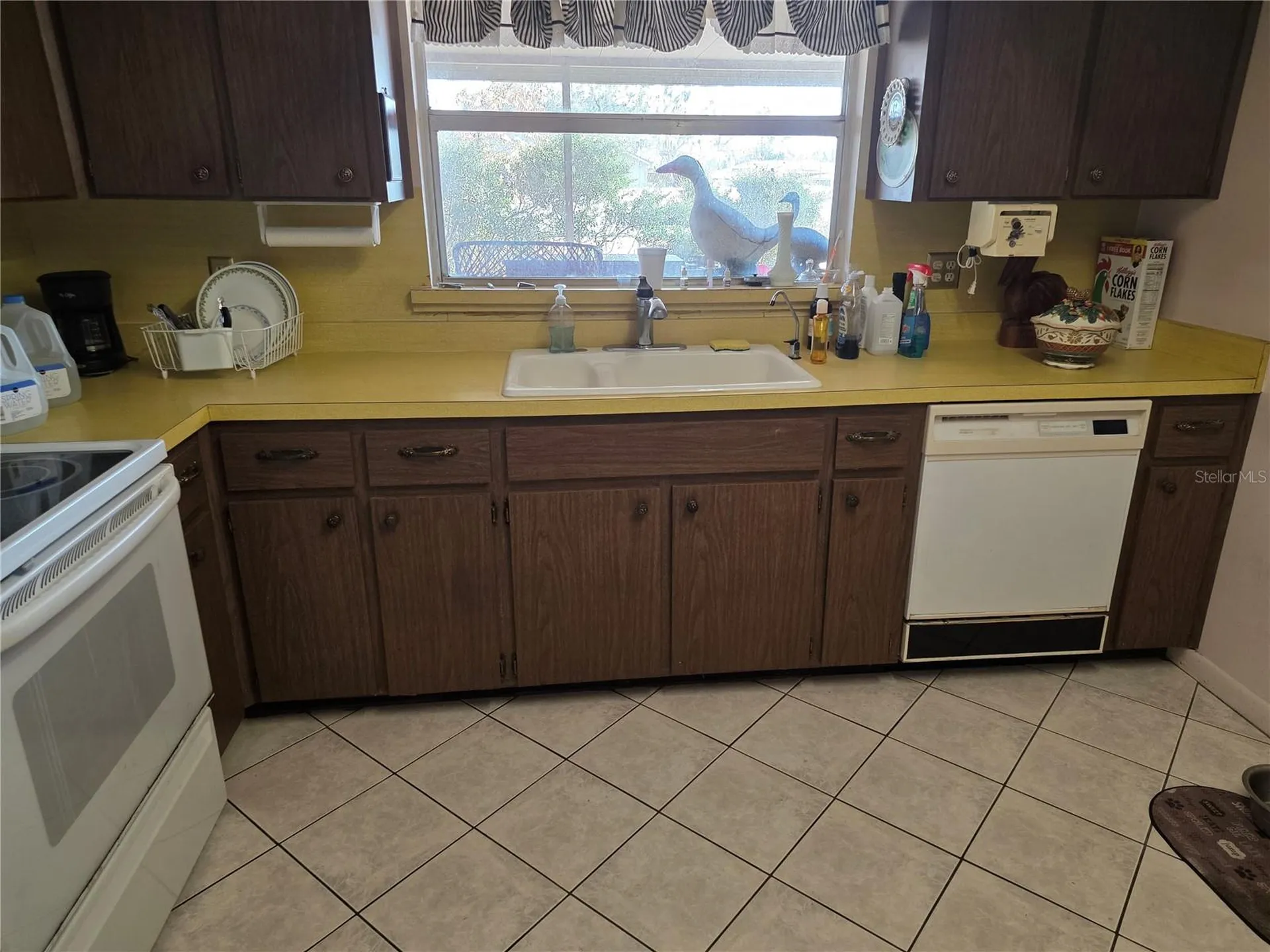 22368 Weeks Boulevard Land O Lakes FL 34639