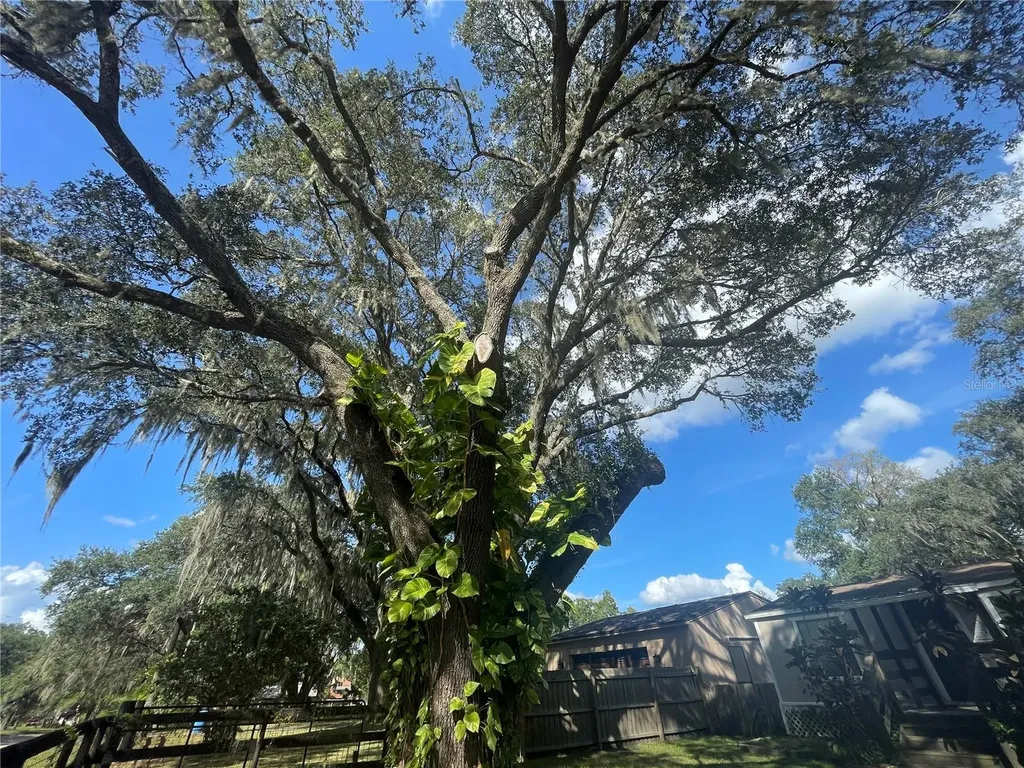 8824 Overlook Drive Wesley Chapel FL 33545