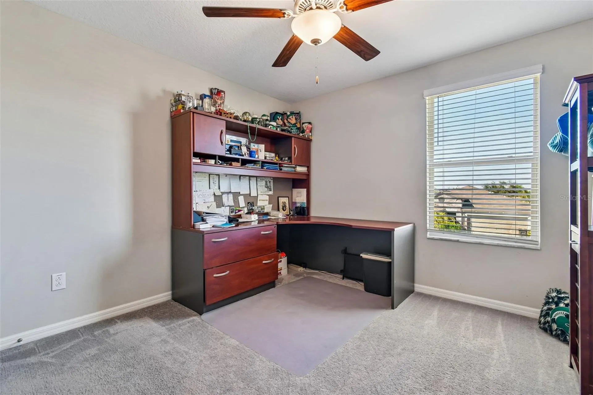 984 Olive Conch Street Ruskin FL 33570