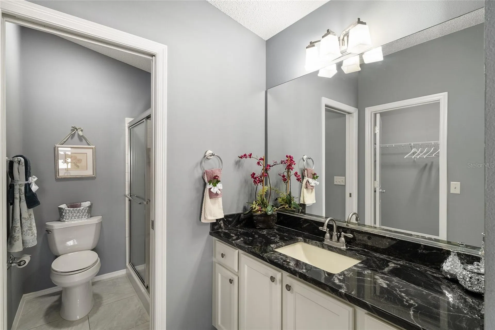2405 Kingstree Place The Villages FL 32162