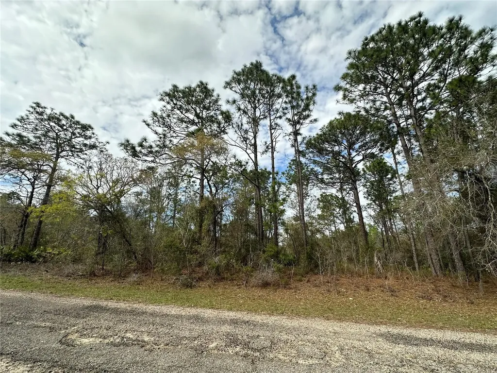 1639 W Pendleton Street Dunnellon FL 34434
