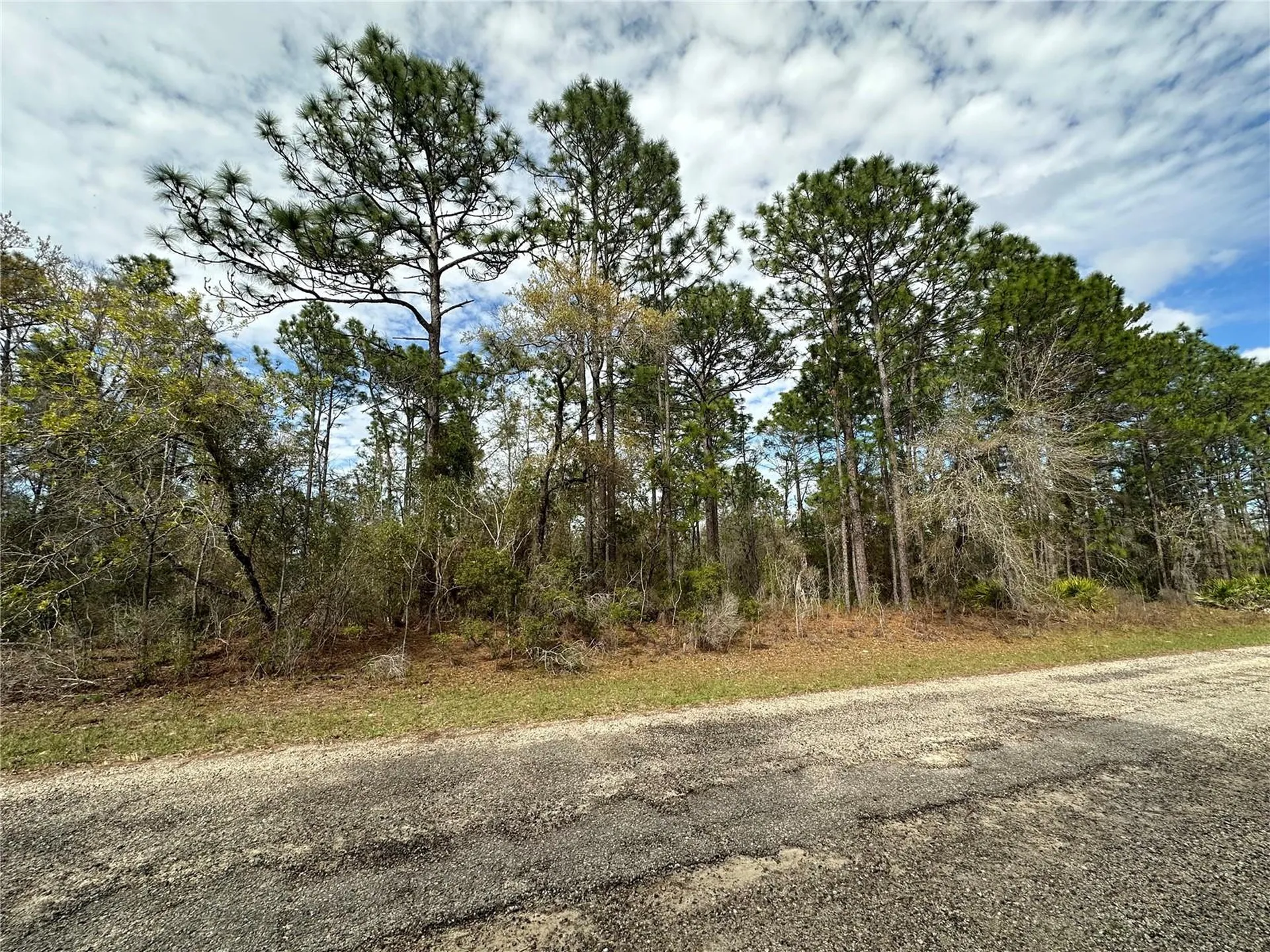 1639 W Pendleton Street Dunnellon FL 34434