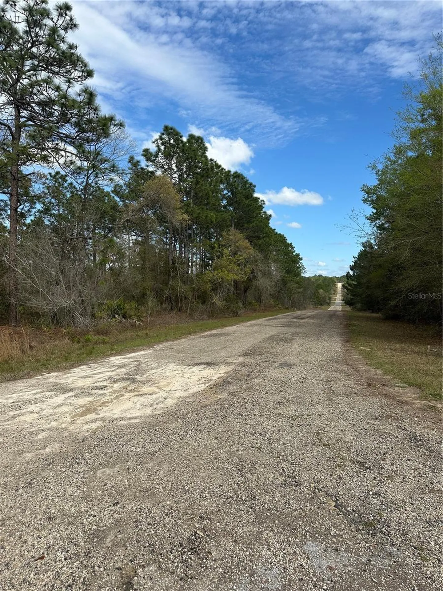 1639 W Pendleton Street Dunnellon FL 34434