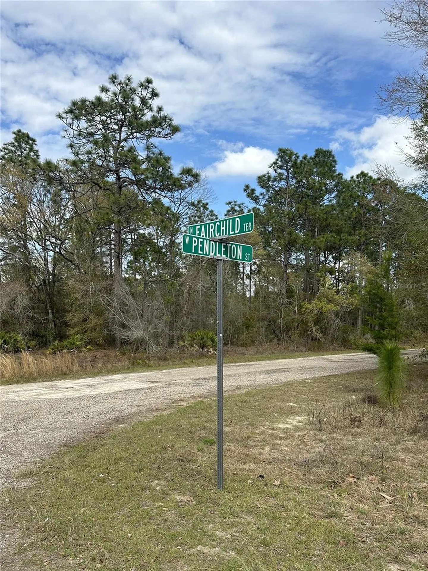 1639 W Pendleton Street Dunnellon FL 34434