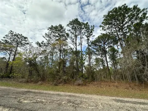 1639 W Pendleton Street Dunnellon FL 34434