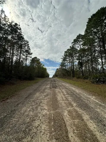 1639 W Pendleton Street Dunnellon FL 34434