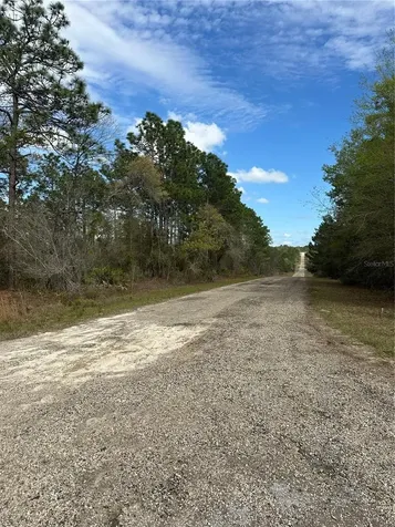 1639 W Pendleton Street Dunnellon FL 34434