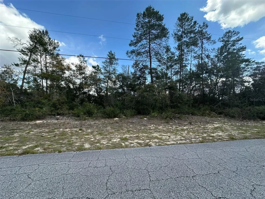 8385 N Farrington Drive Citrus Springs FL 34433
