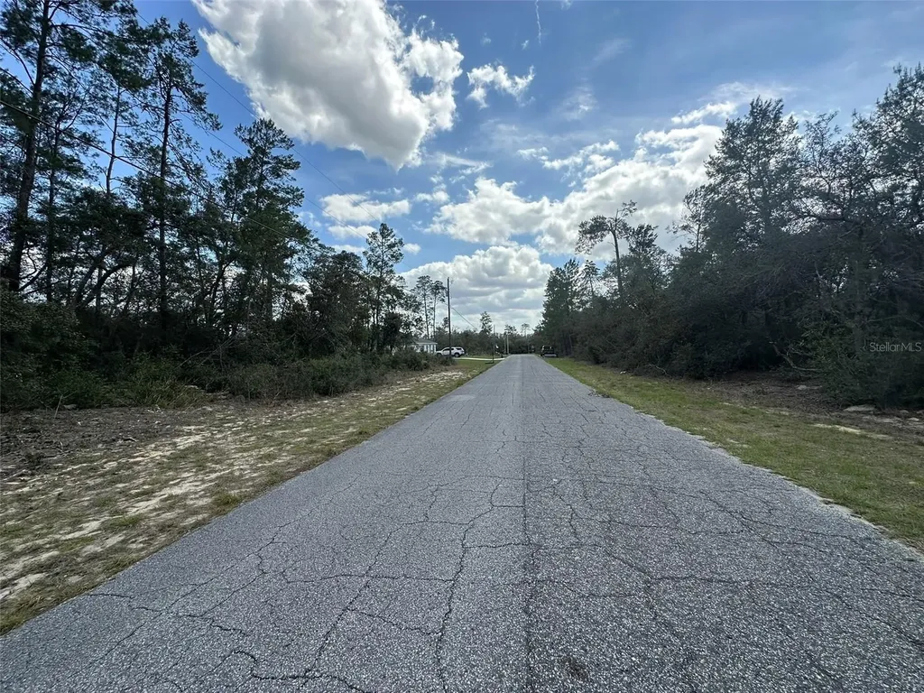 8385 N Farrington Drive Citrus Springs FL 34433