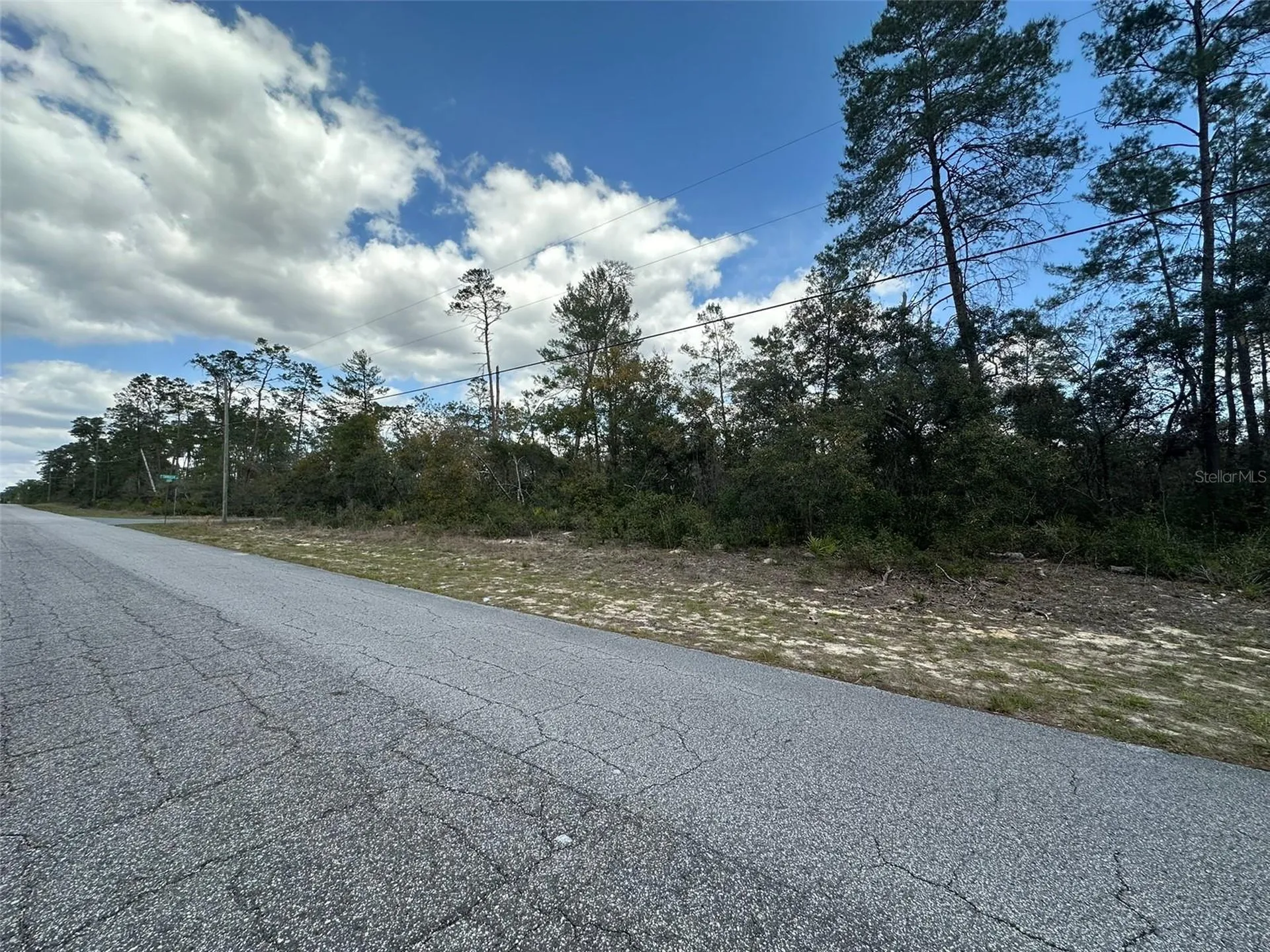 8385 N Farrington Drive Citrus Springs FL 34433
