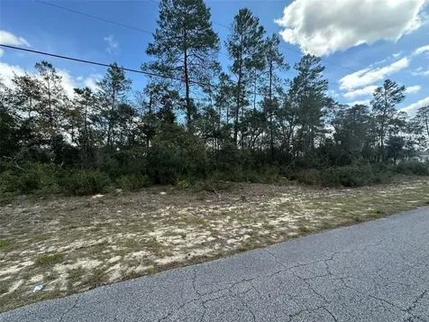 8385 N Farrington Drive Citrus Springs FL 34433