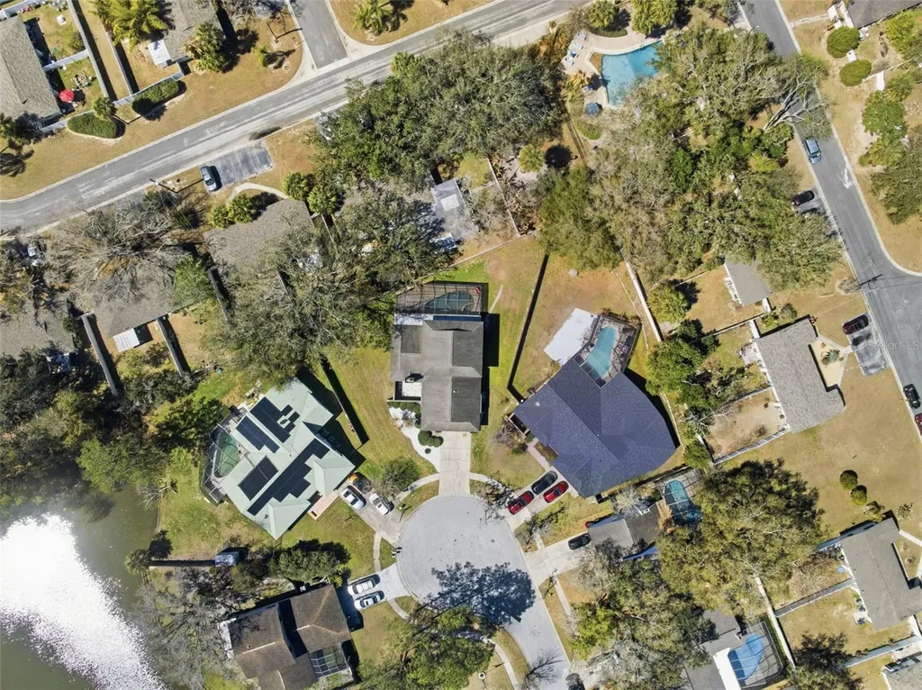 12935 Rain Forest Street Temple Terrace FL 33617