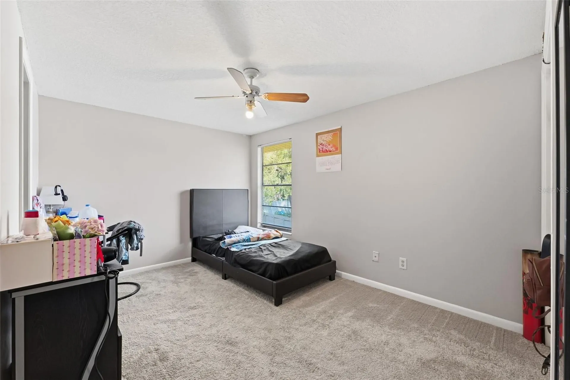12935 Rain Forest Street Temple Terrace FL 33617