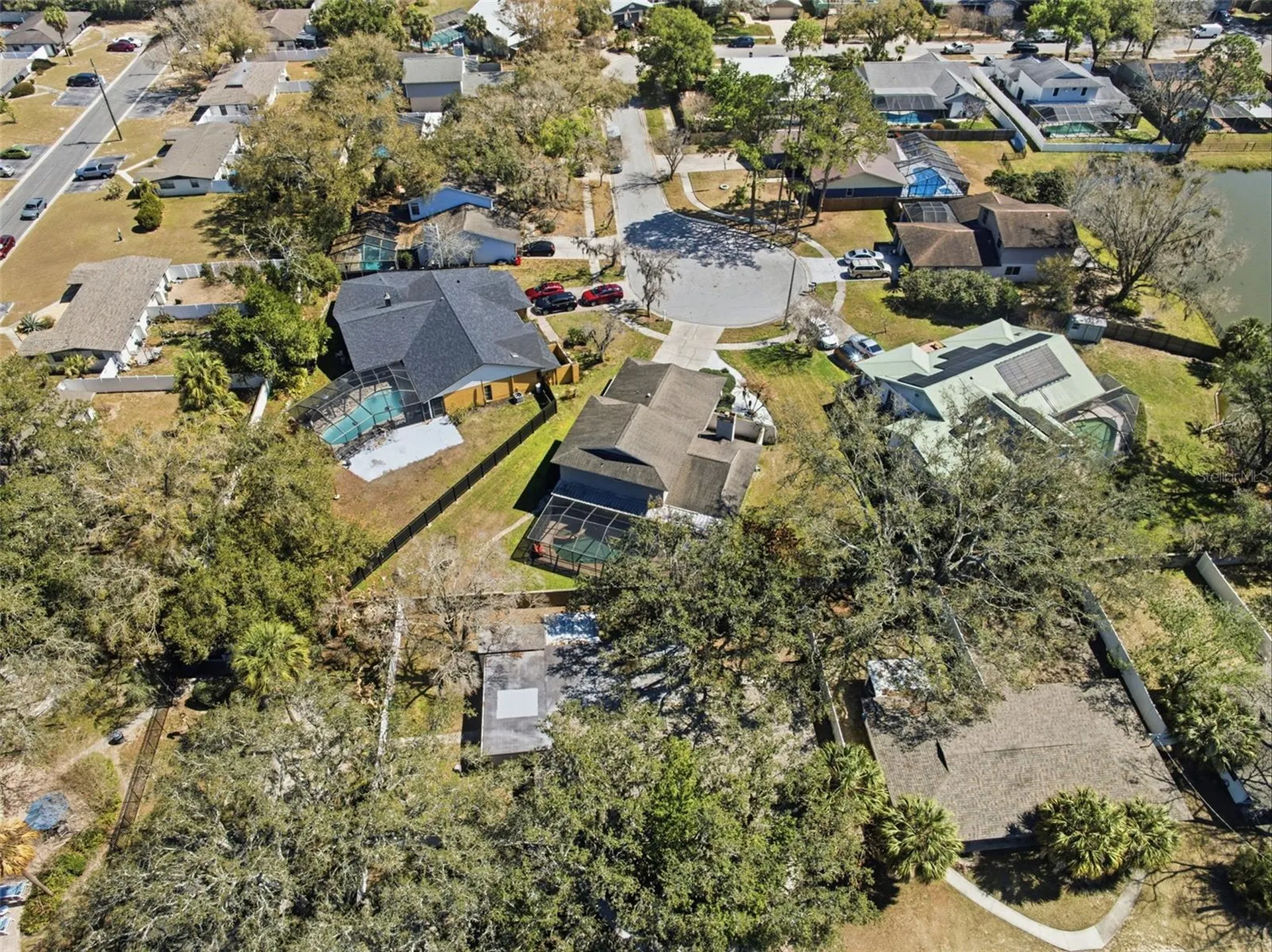 12935 Rain Forest Street Temple Terrace FL 33617