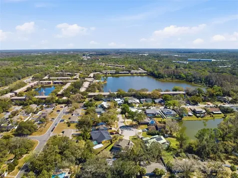 12935 Rain Forest Street Temple Terrace FL 33617