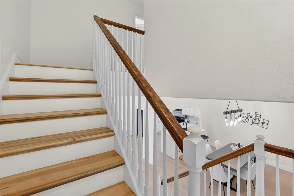 918 Woodbridge Court Safety Harbor FL 34695