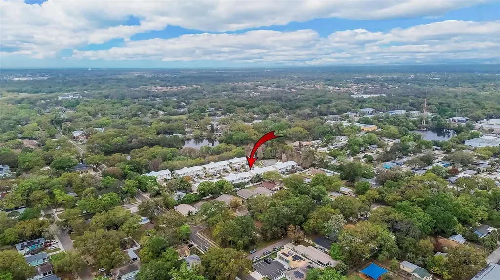918 Woodbridge Court Safety Harbor FL 34695