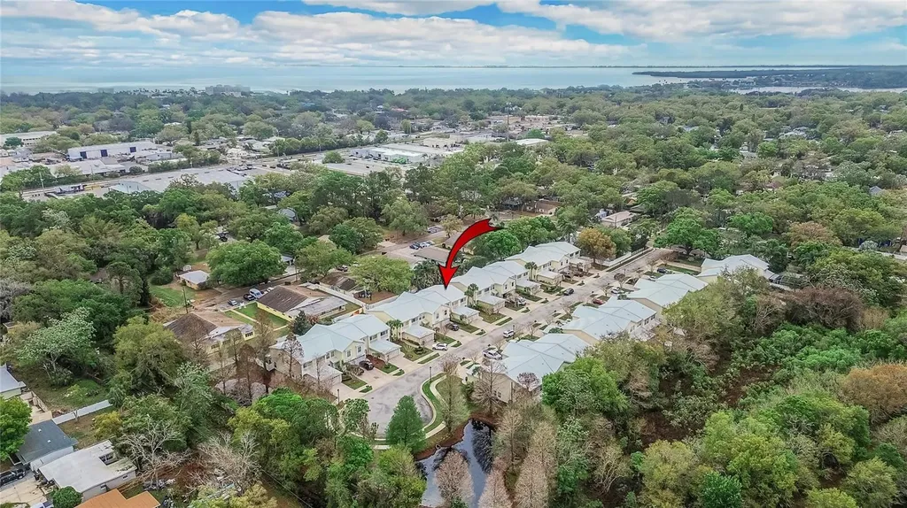918 Woodbridge Court Safety Harbor FL 34695