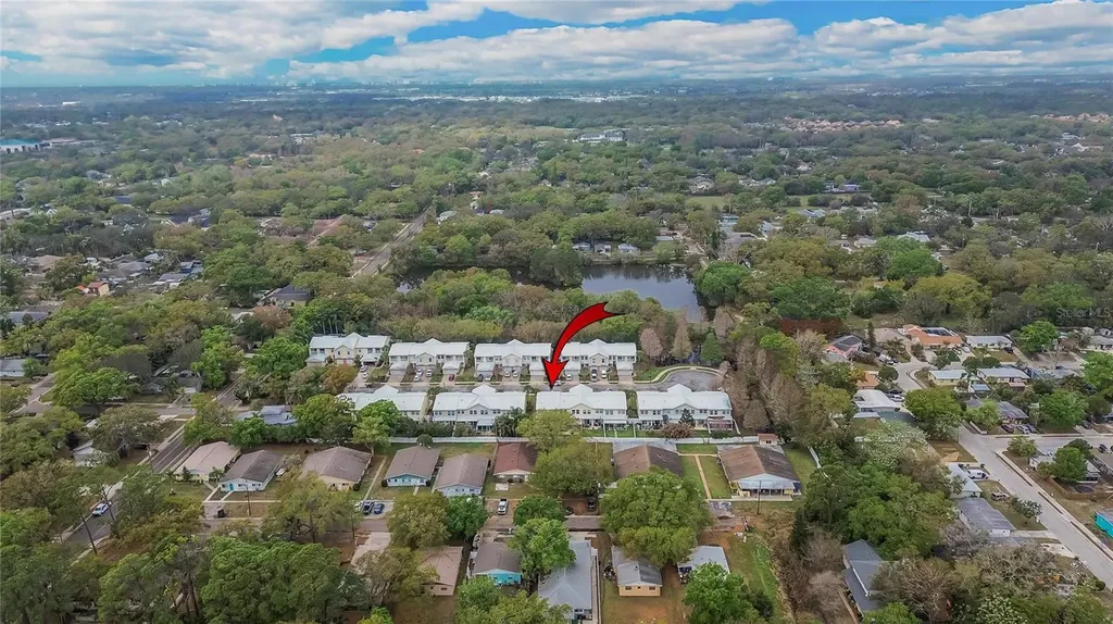 918 Woodbridge Court Safety Harbor FL 34695