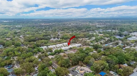 918 Woodbridge Court Safety Harbor FL 34695