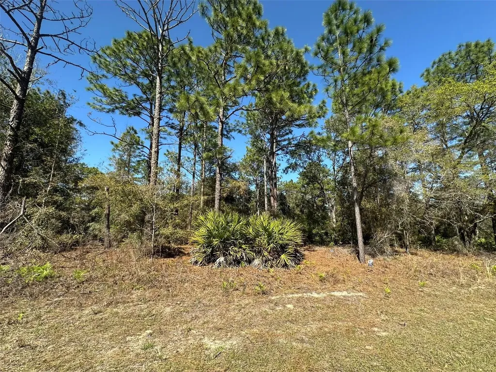 833 W Champlain Lane Citrus Springs FL 34434