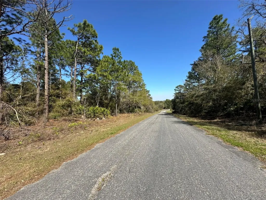833 W Champlain Lane Citrus Springs FL 34434