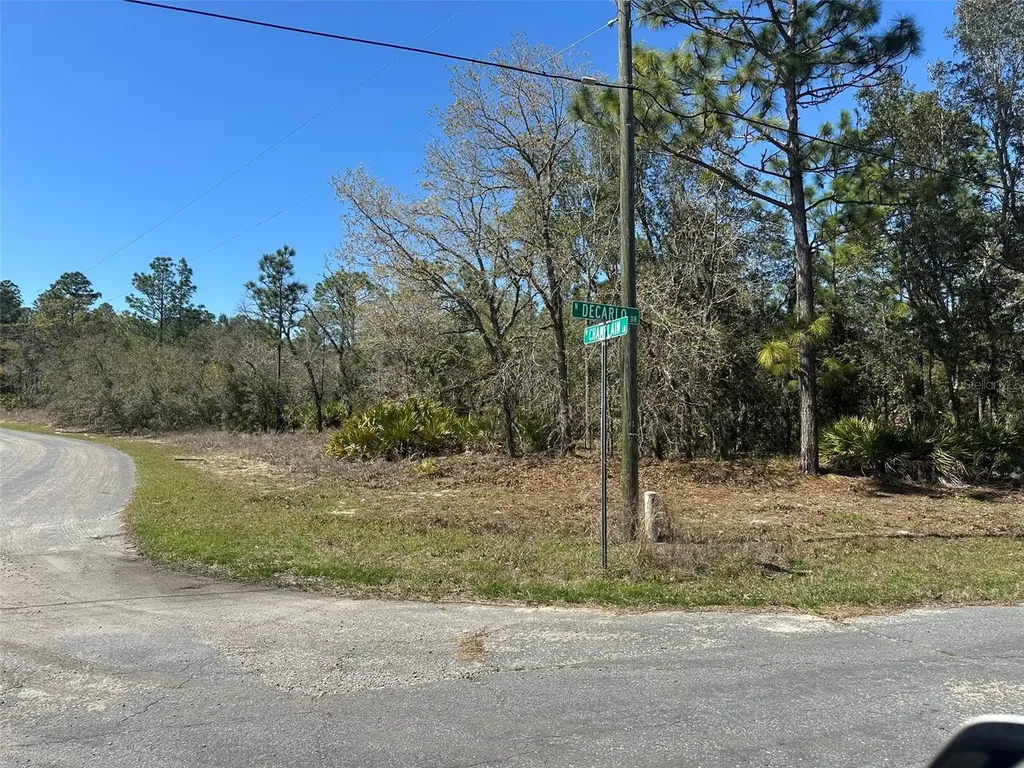 833 W Champlain Lane Citrus Springs FL 34434