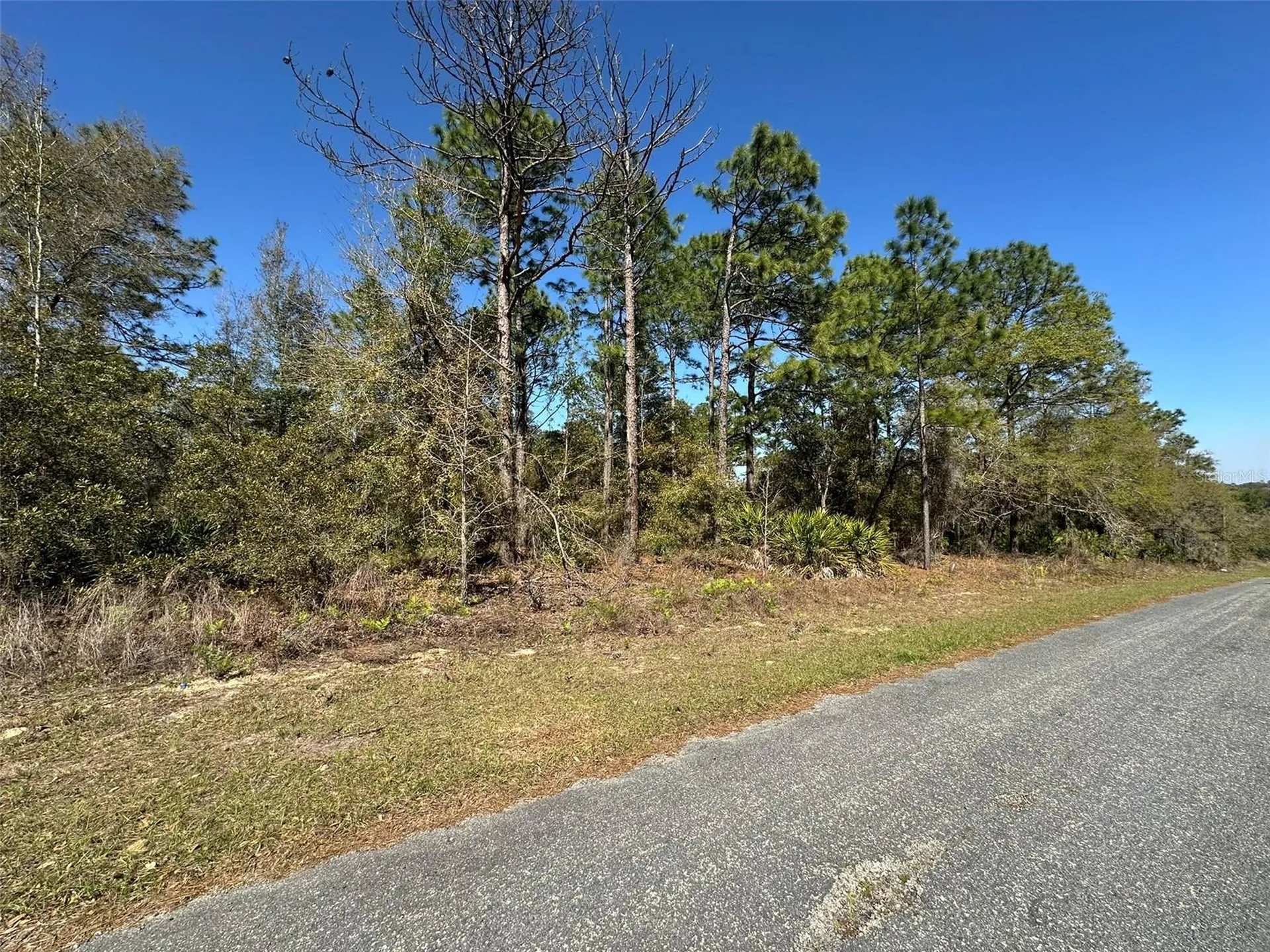 833 W Champlain Lane Citrus Springs FL 34434