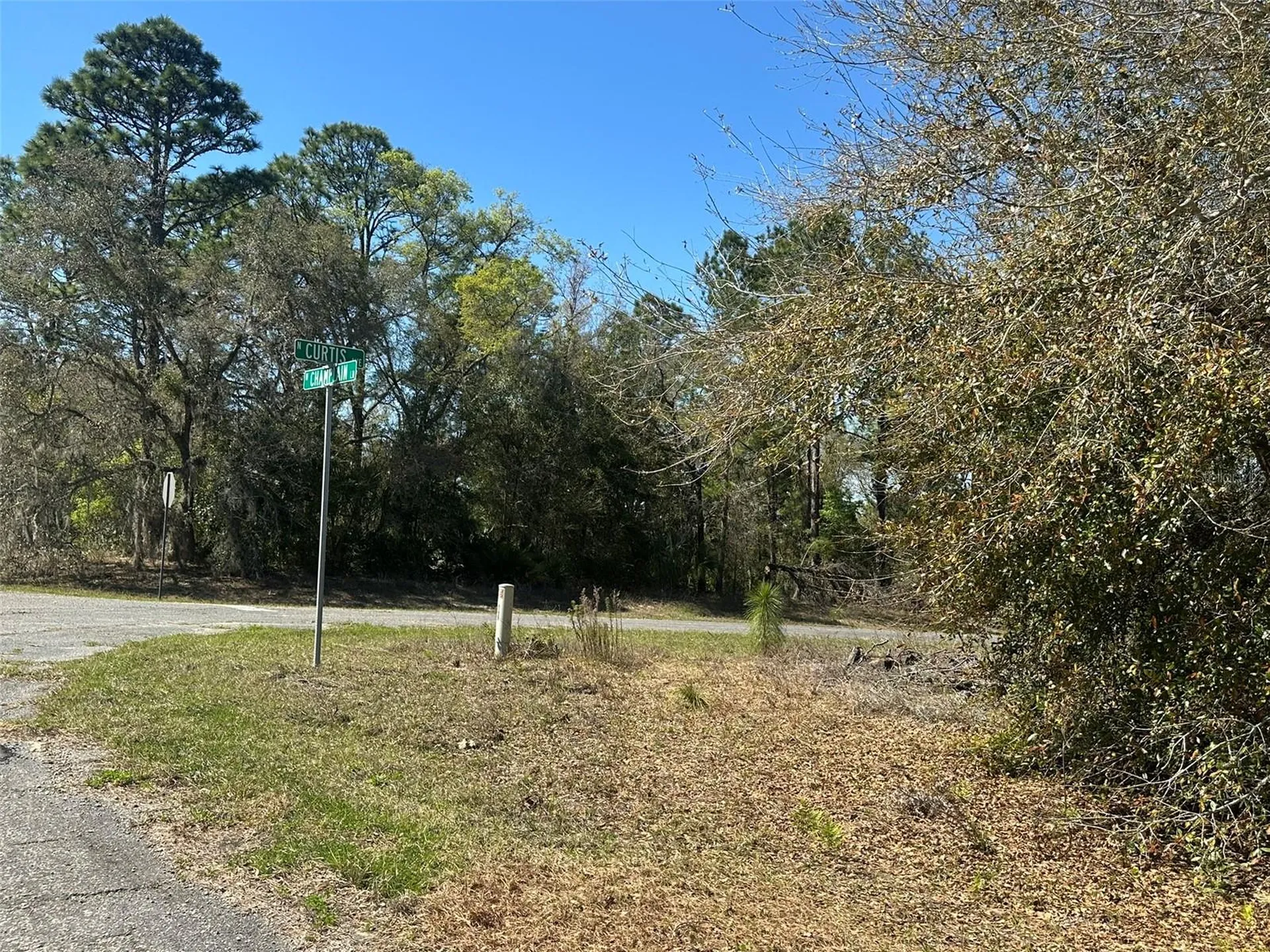 833 W Champlain Lane Citrus Springs FL 34434