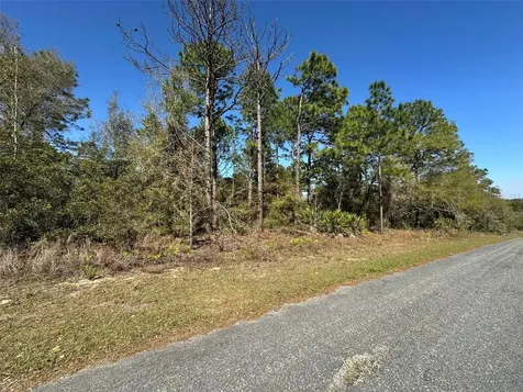 833 W Champlain Lane Citrus Springs FL 34434