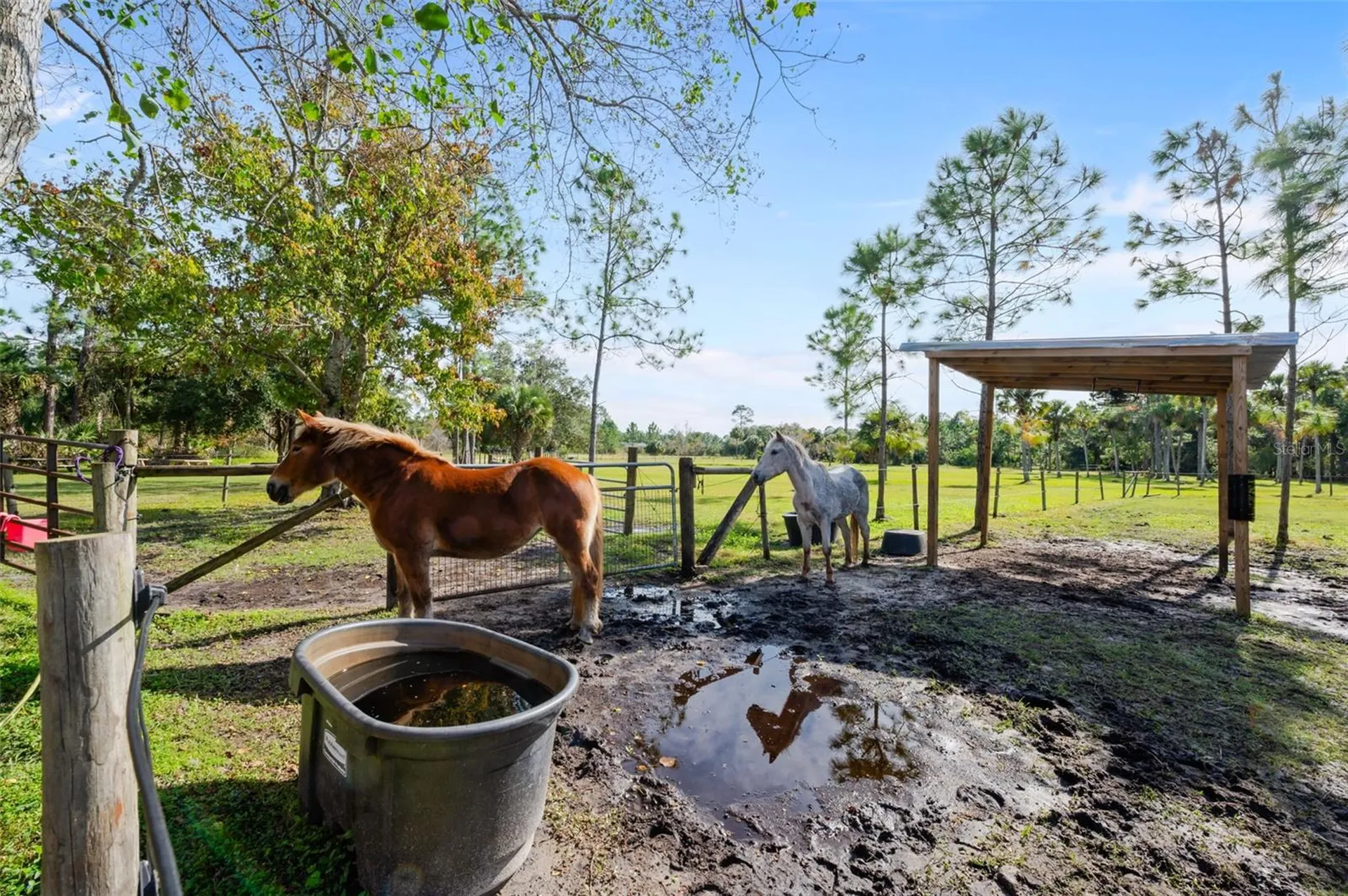 3262 Pheasant Trail Mims FL 32754