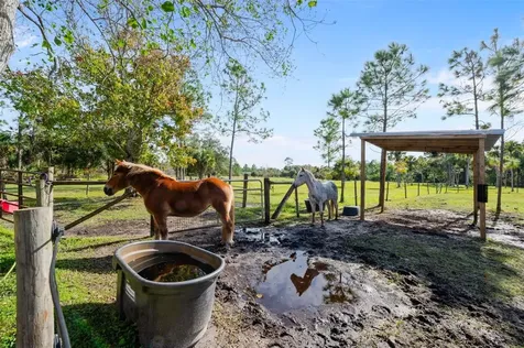 3262 Pheasant Trail Mims FL 32754