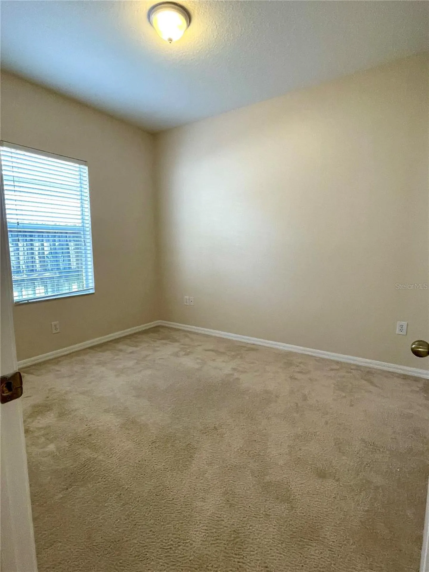 24622 Portofino Drive Lutz FL 33559