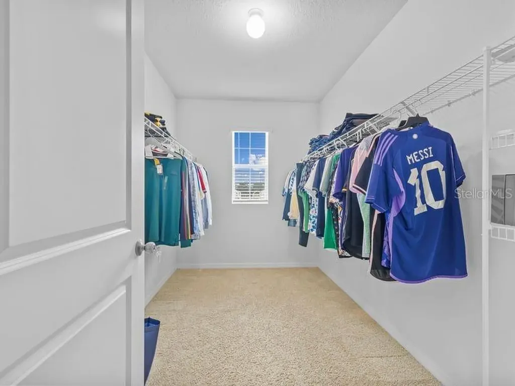 17006 Wave Tressle Place Wimauma FL 33598