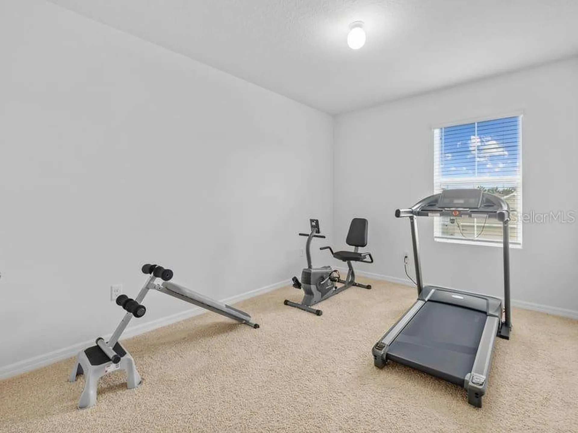 17006 Wave Tressle Place Wimauma FL 33598