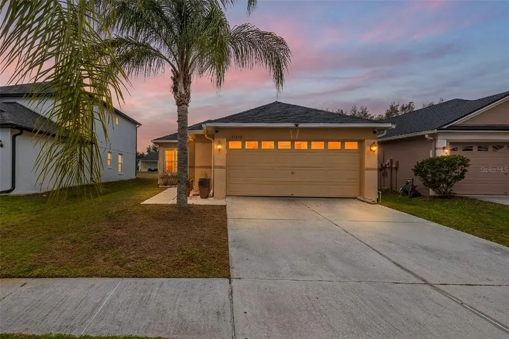 31228 Masena Drive Wesley Chapel FL 33545