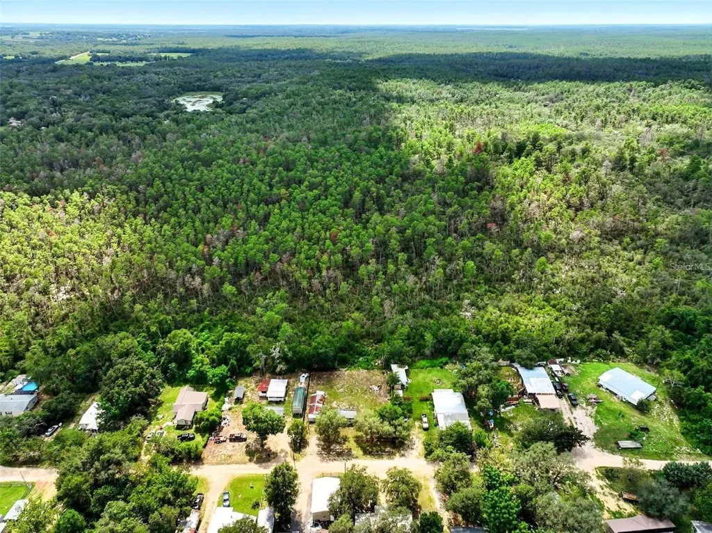 16130 SE 252nd Terrace Umatilla FL 32784