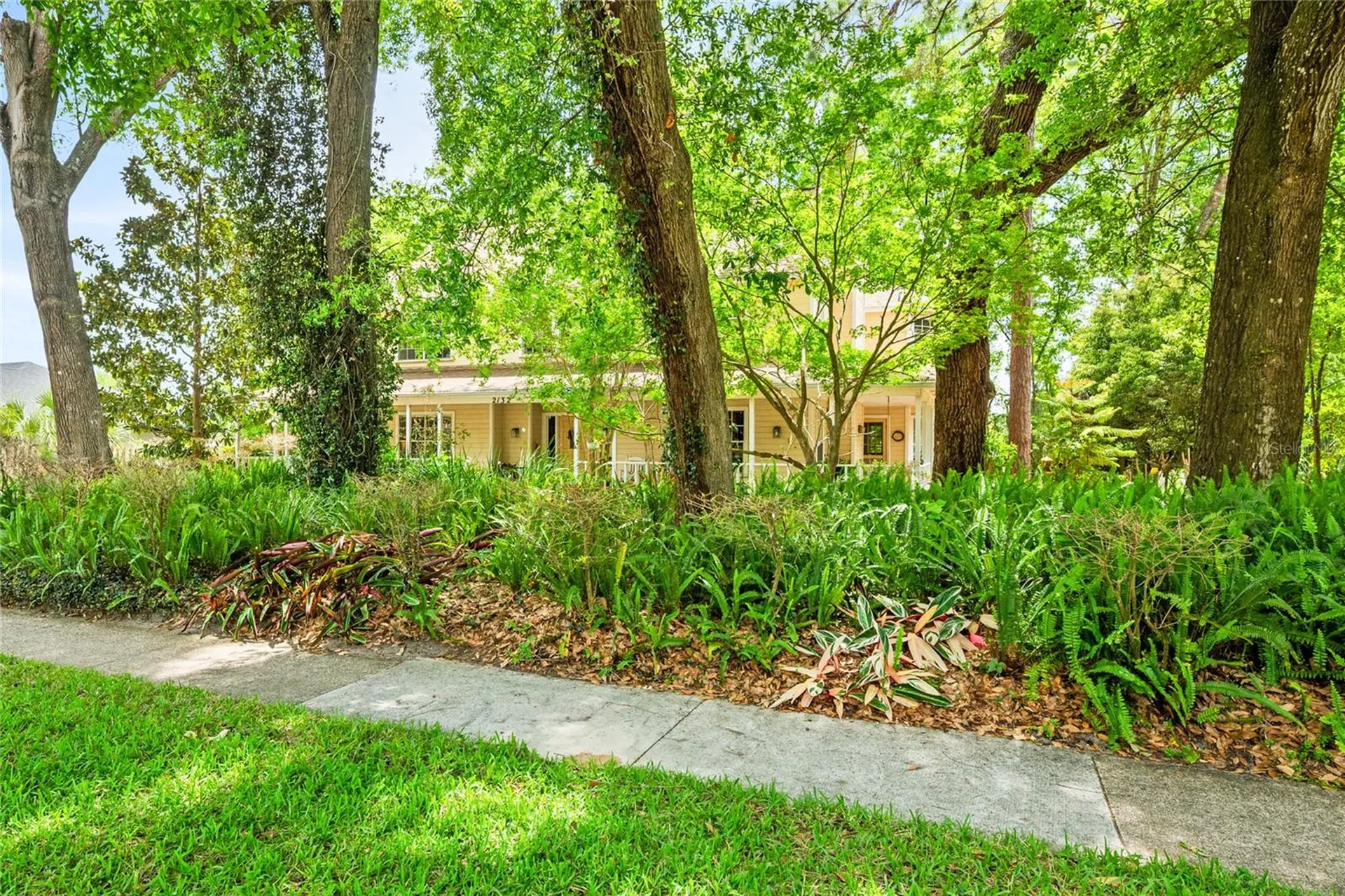 2132 Palm Vista Drive Apopka FL 32712