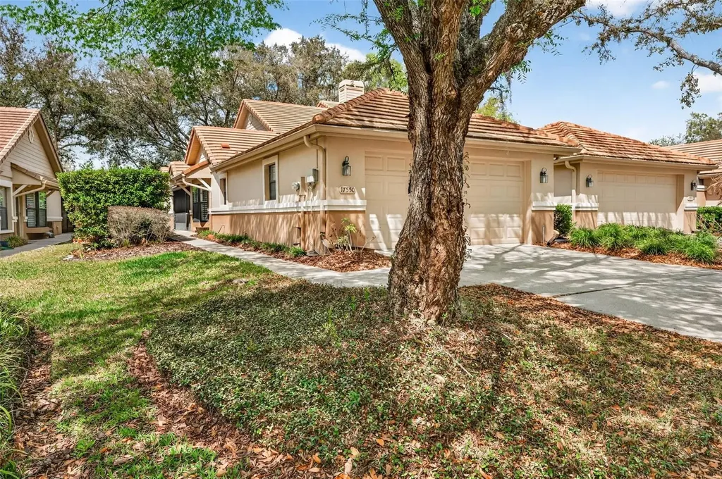17550 Fairmeadow Drive Tampa FL 33647