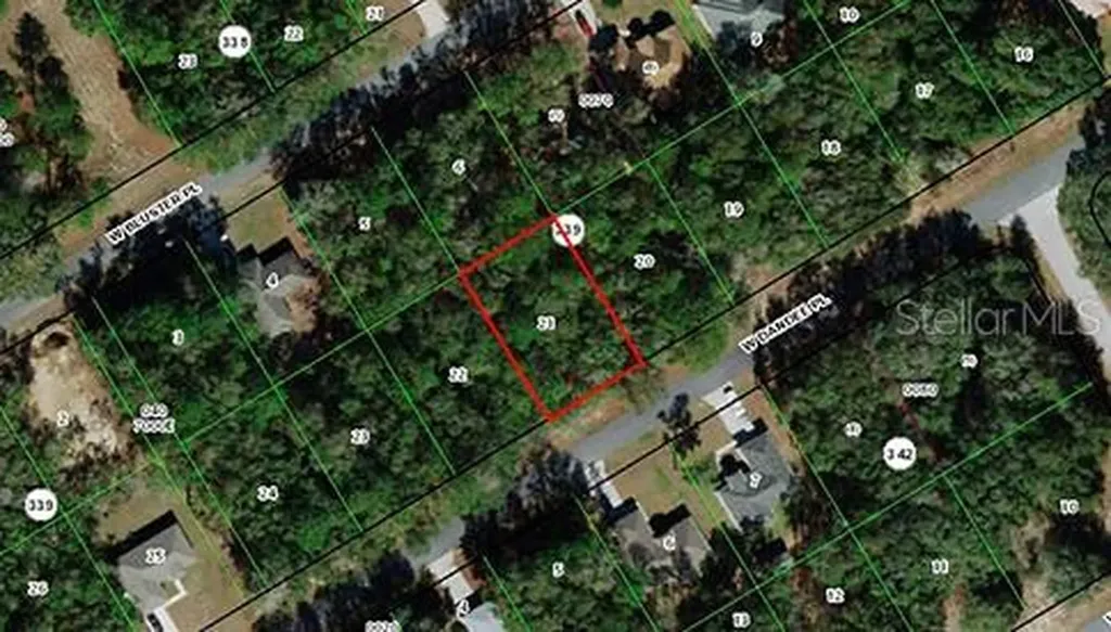509 W Dandee Place Citrus Springs FL 34434