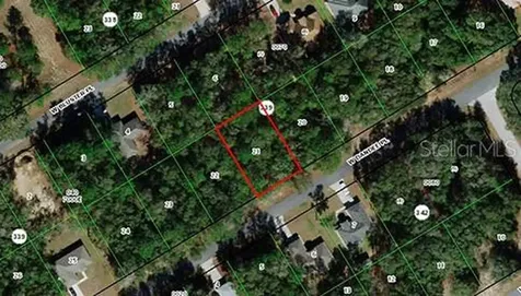 509 W Dandee Place Citrus Springs FL 34434