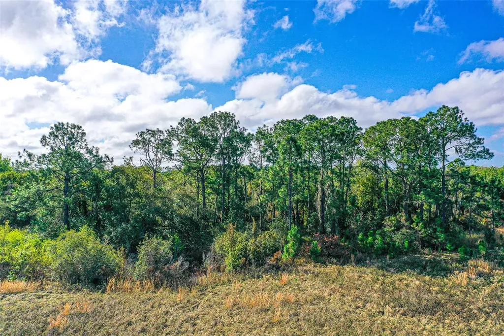 Winter Haven FL 33880
