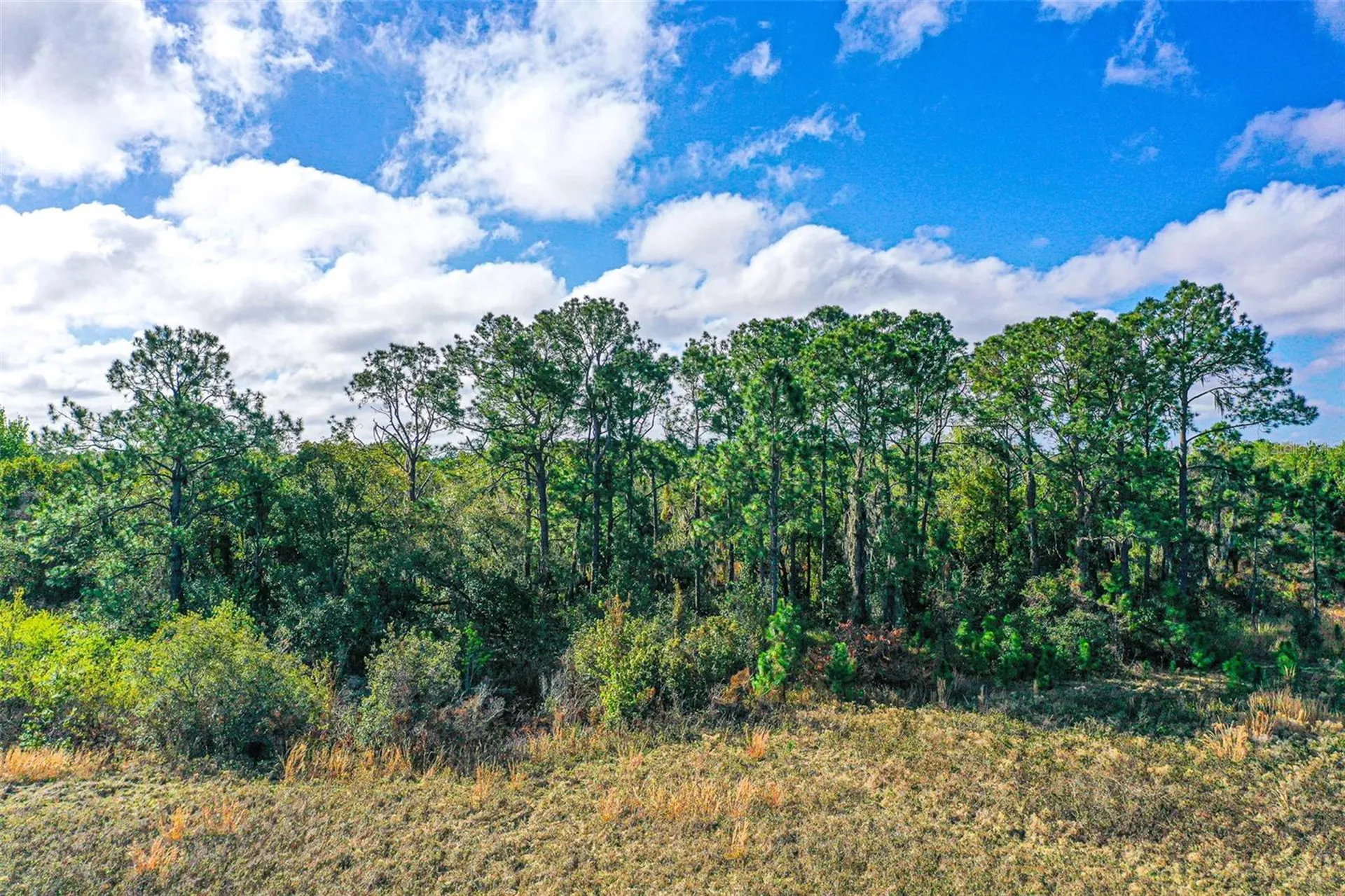 Winter Haven FL 33880