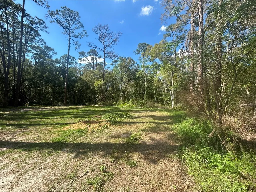 2648 S Park Avenue Sanford FL 32773