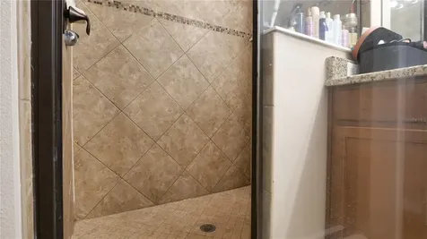 10235 Villa Palazzo Court Tampa FL 33615