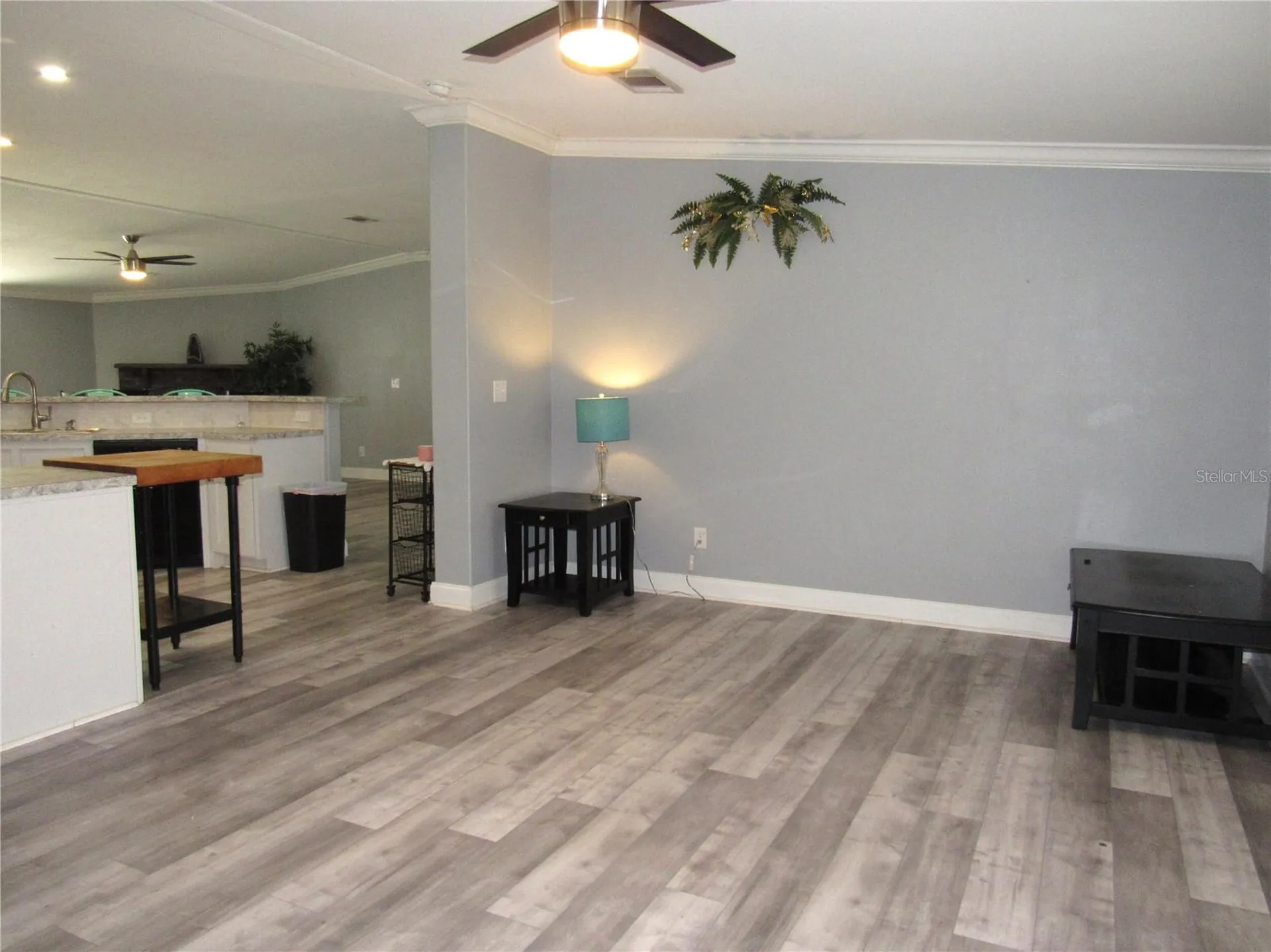 50544 Bermont Road Punta Gorda FL 33982